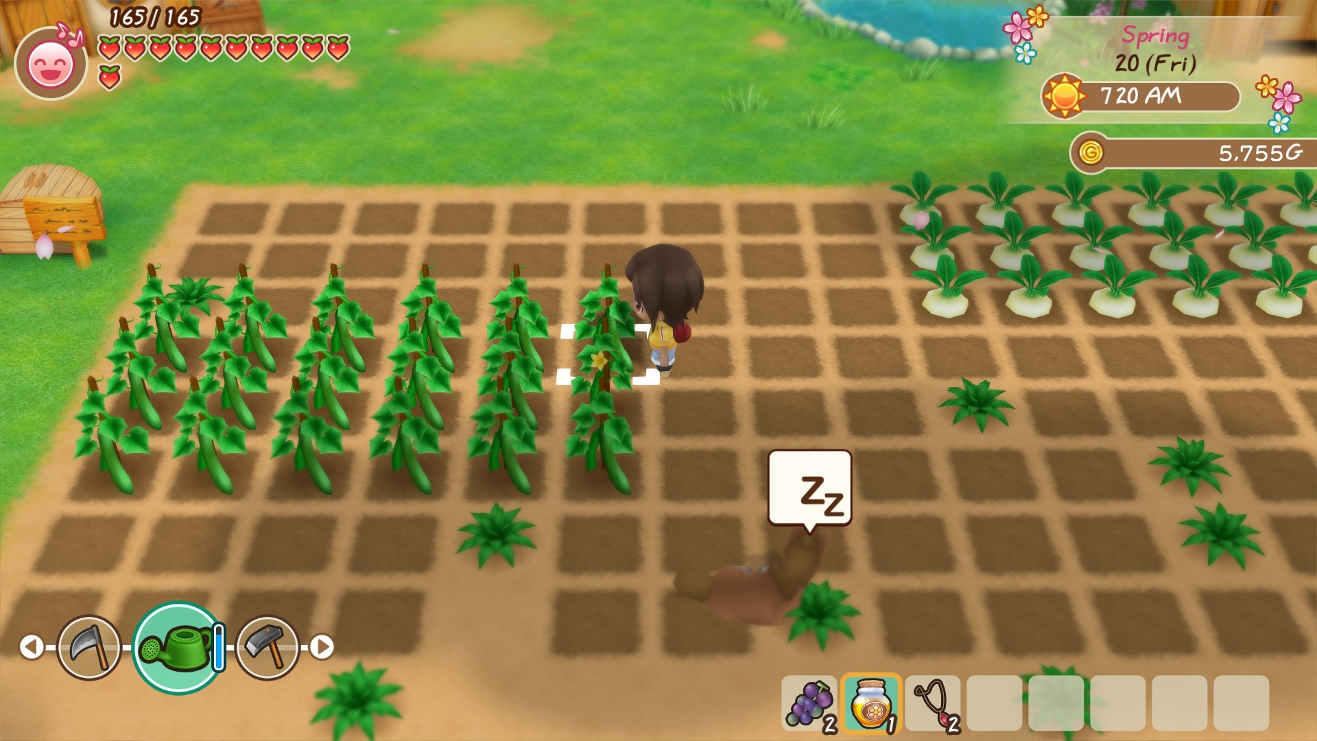 图片[3]-牧场物语：重聚矿石镇|Story of Seasons Friends of Mineral Town|1.0.4-萌芽游戏